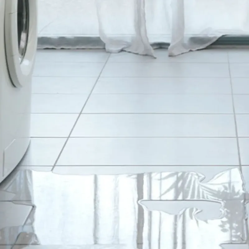 Appliance Leak Cleanup in Rosebud, TX