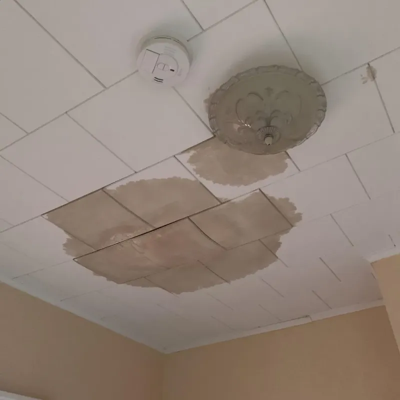 Ceiling Water Damage Repair in Rosebud, TX