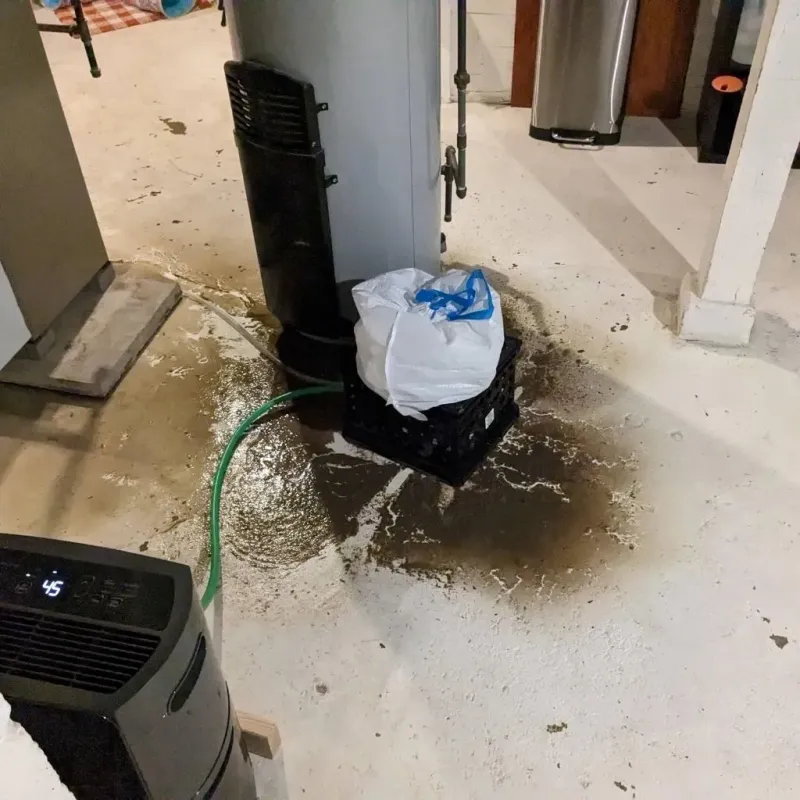 Sewage Backup Cleanup Service in Rosebud, TX
